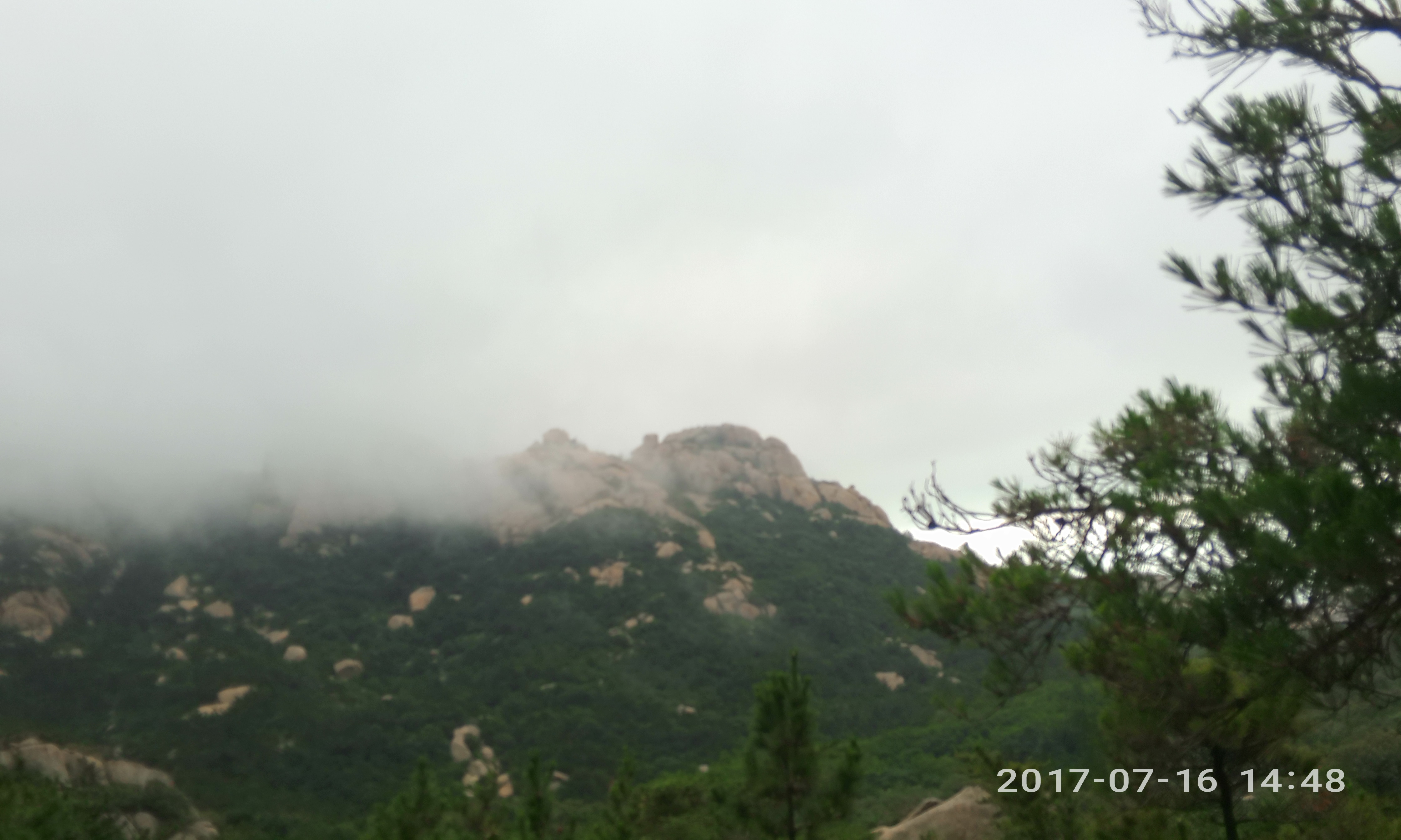 请输入图片描述