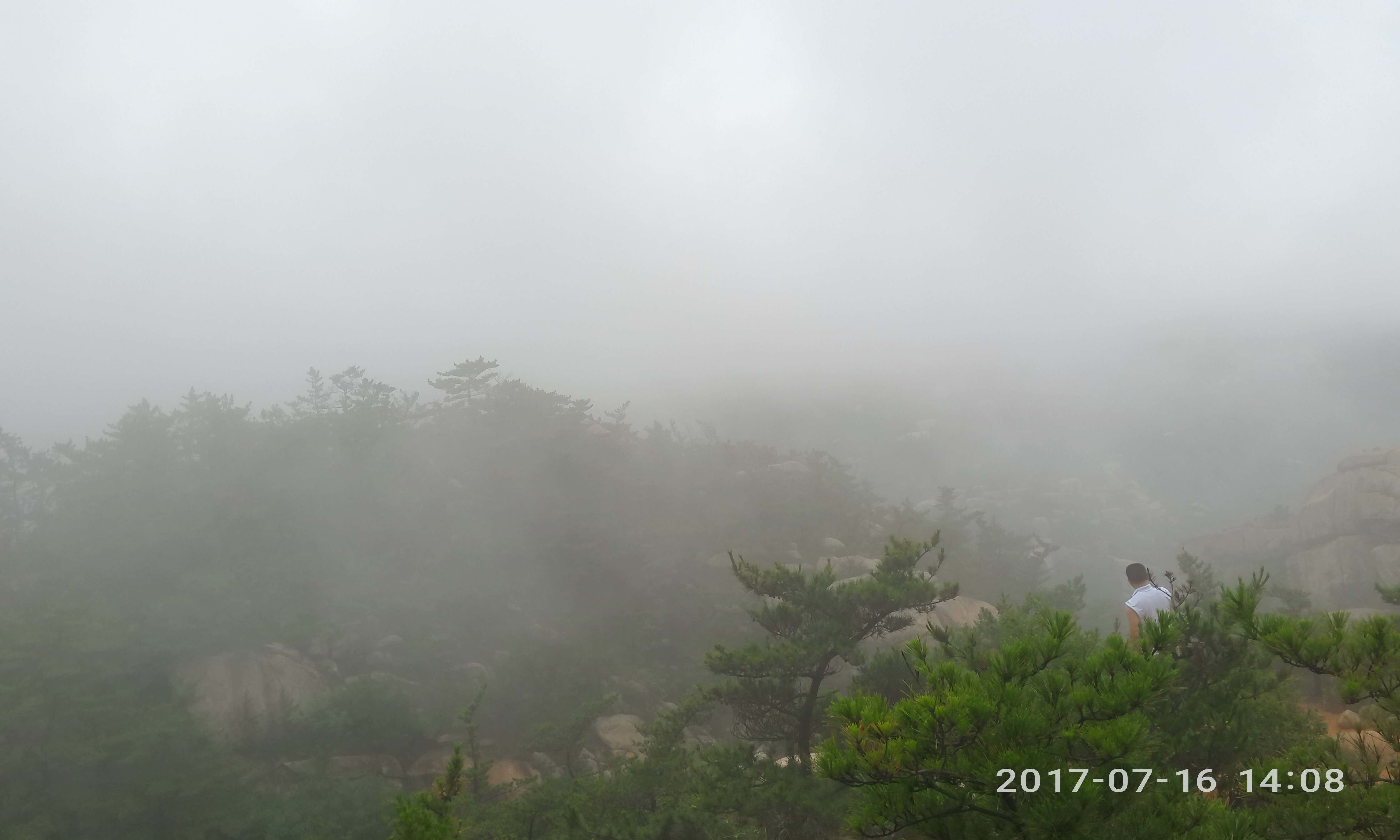 请输入图片描述