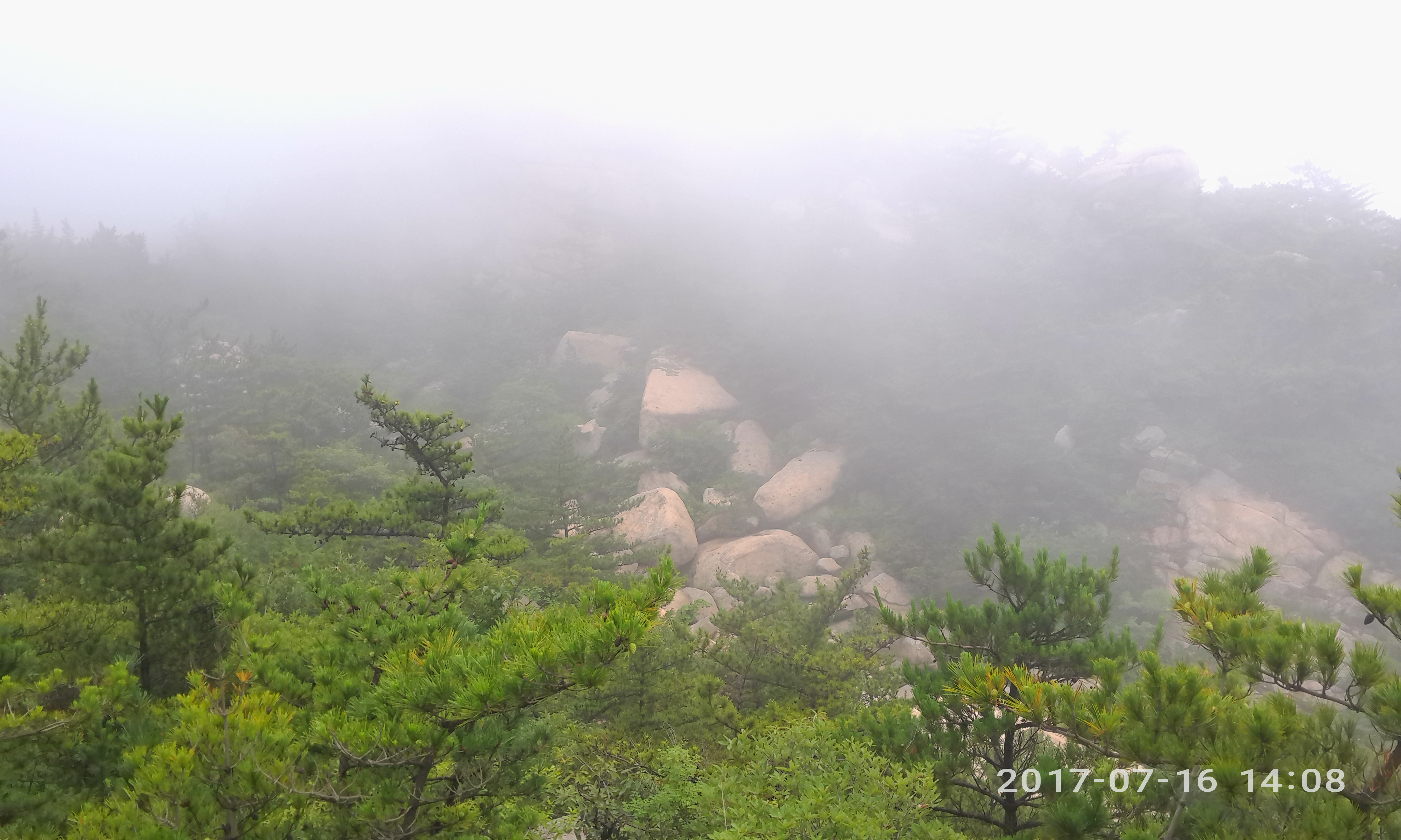 请输入图片描述