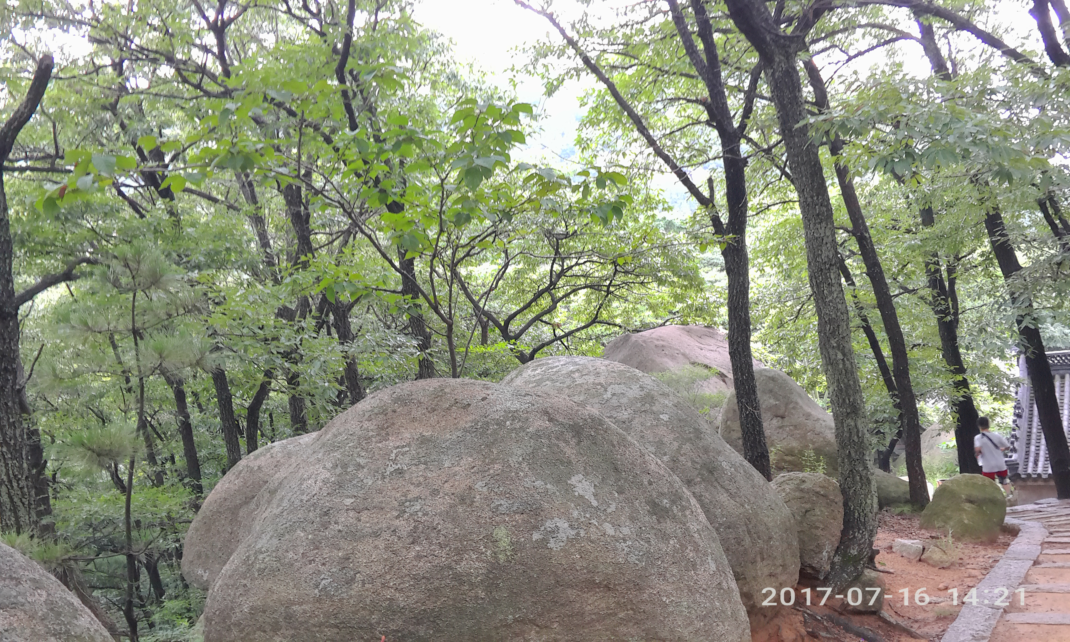 请输入图片描述