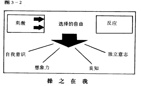 主动模型