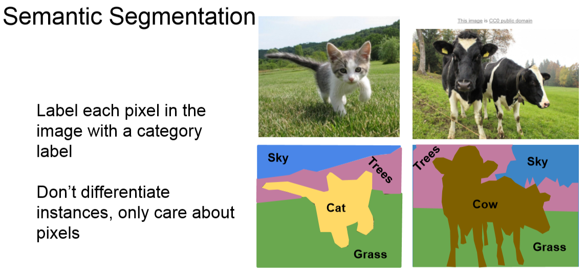semantic_segmentation