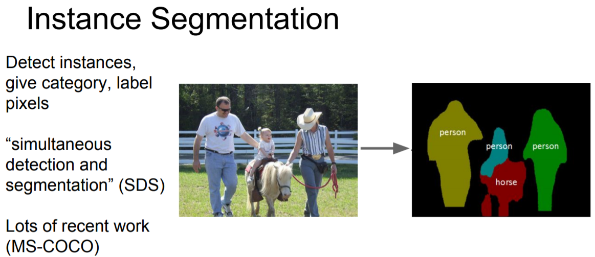 instance_segmentation