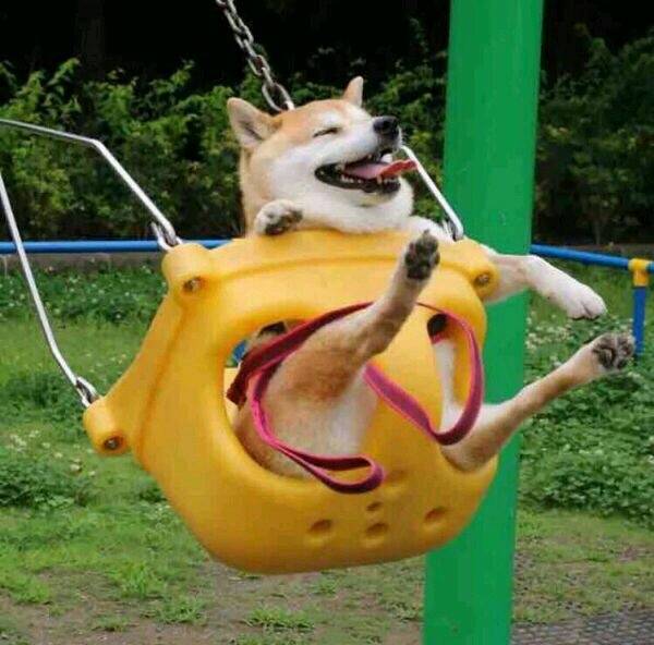 主题:给ios的解解们推荐一个图床,内有贴图教程[313]收藏该帖已收藏