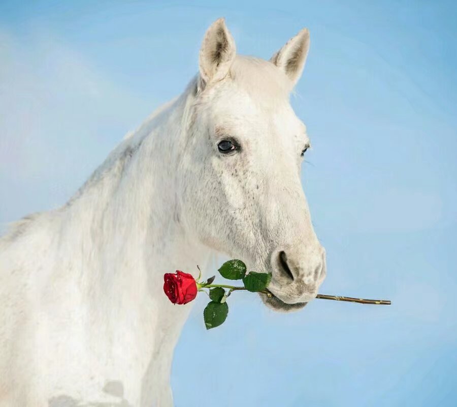 从一个人的社交圈看不到什么有用信息！