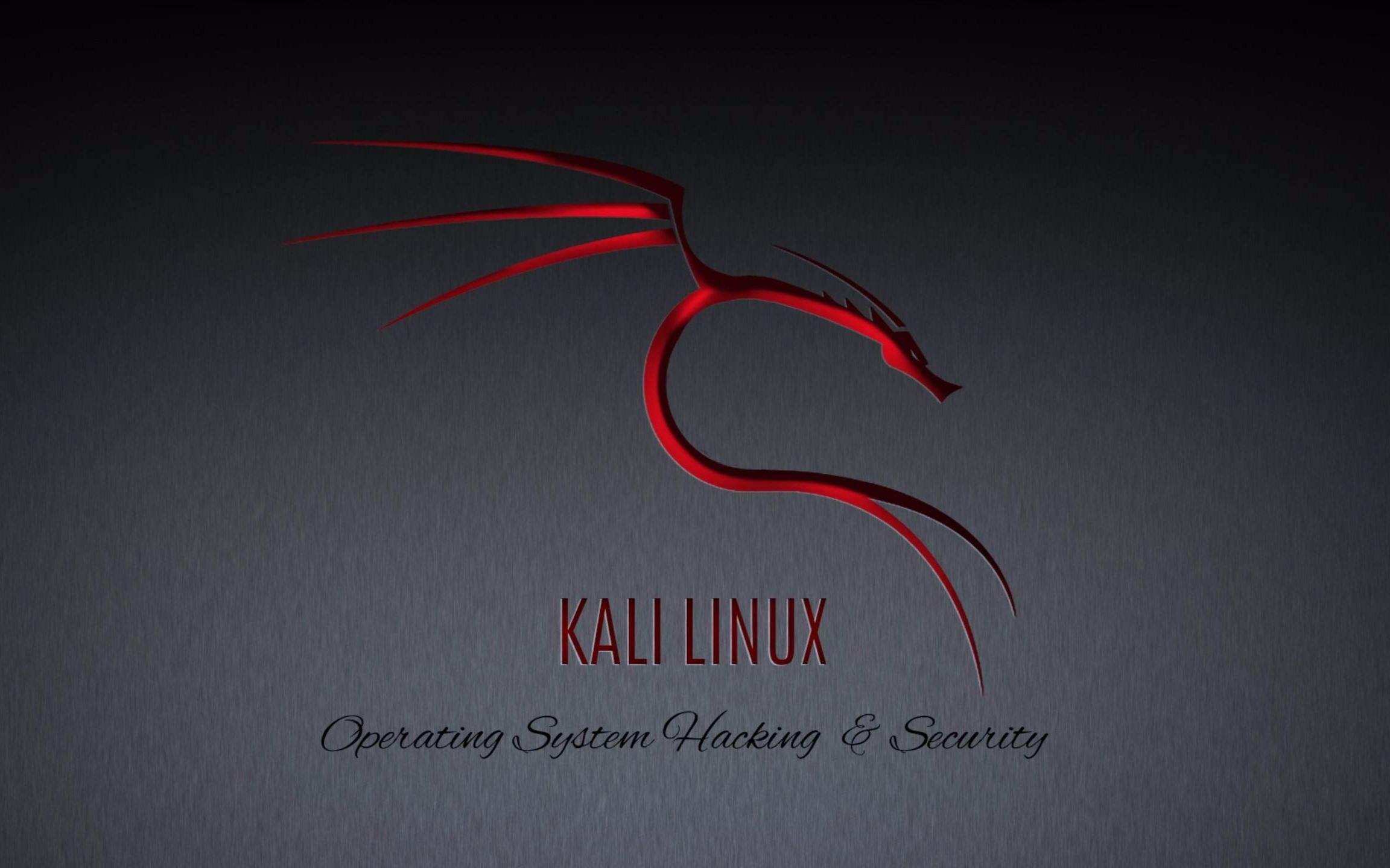 Linux 初识之 Kali Linux 系统安装详细教程（虚拟机）插图2
