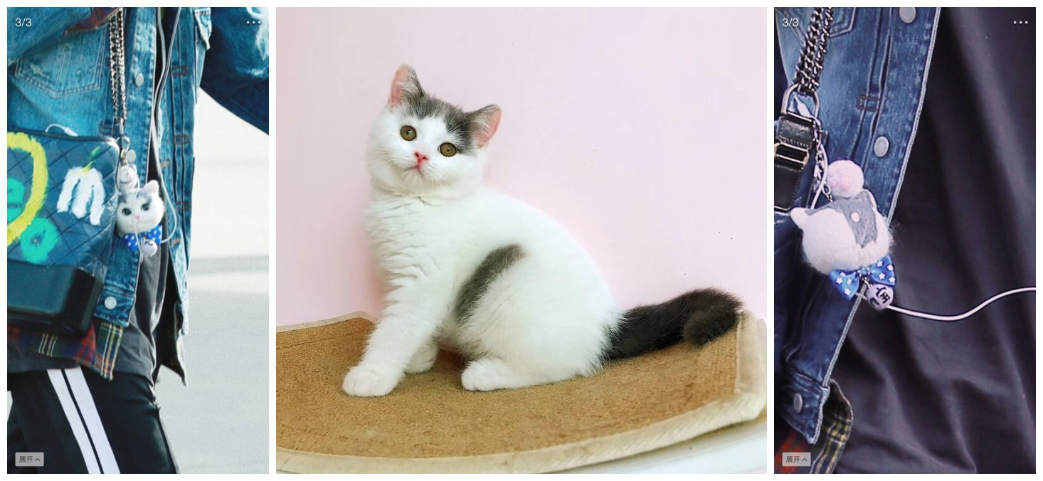 纯手工打造的tin宝