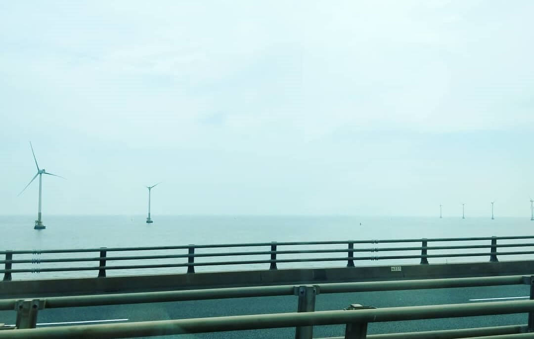 东海大桥两边的海上风机.jpg