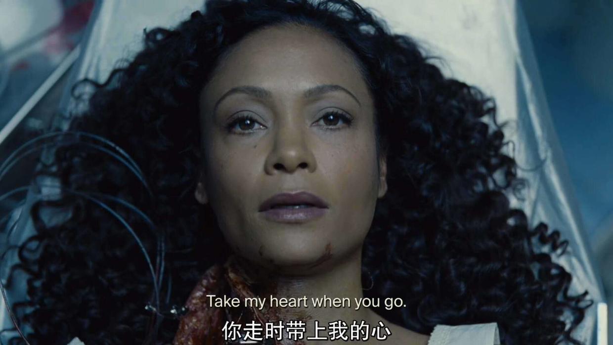 《西部世界》s02e08:真情,是盛开在世间最美的花朵