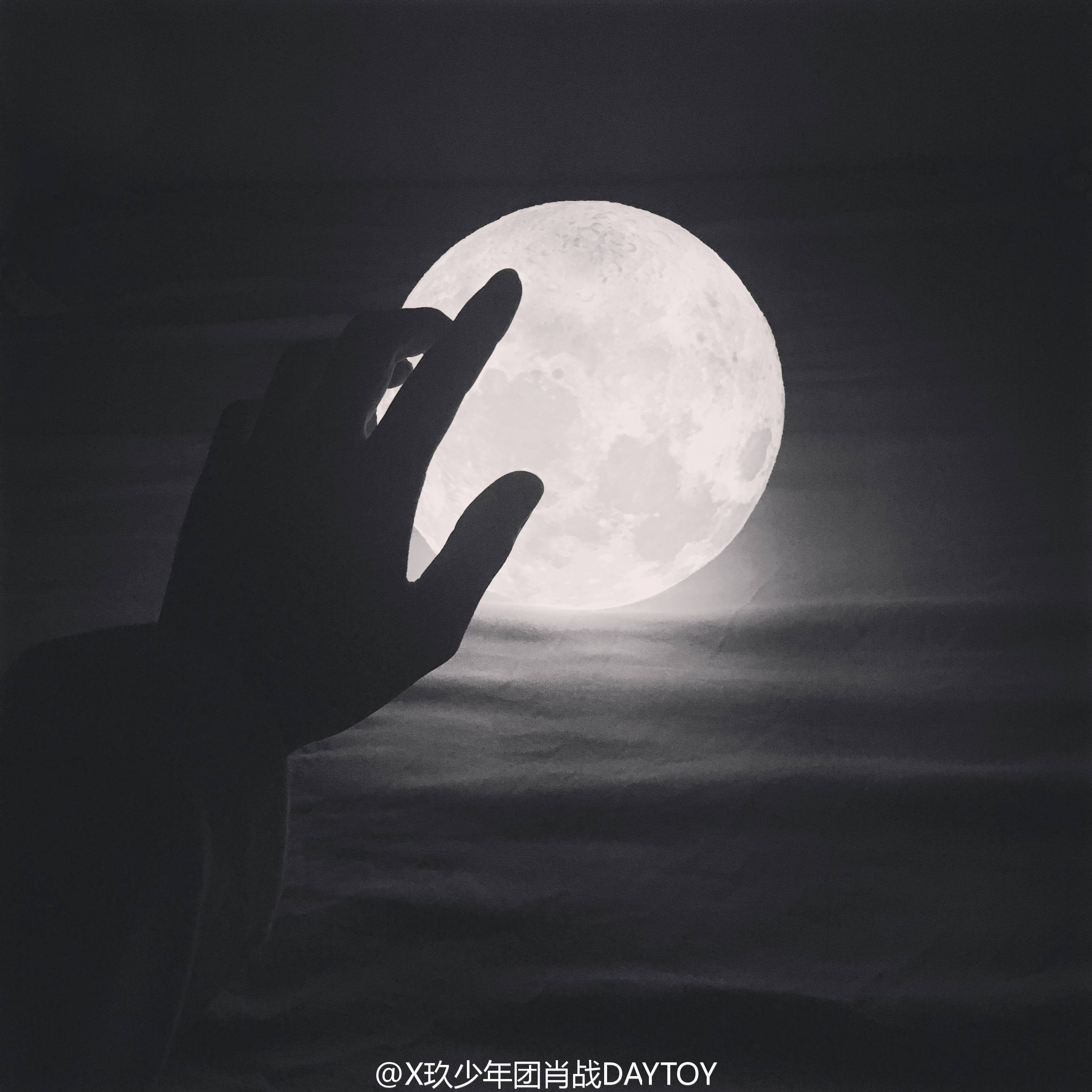 主题:自炒·一日限定の饲猫少年xz [339]收藏该贴已收藏只看楼主