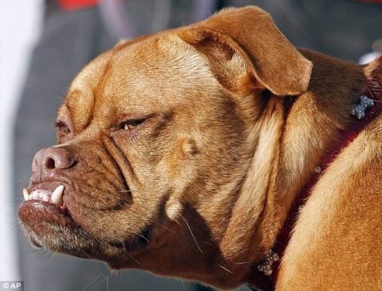 主题:zzth快点进来看看!这个是不是和你很配?