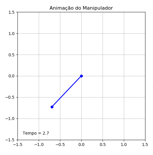 Animação sem controle