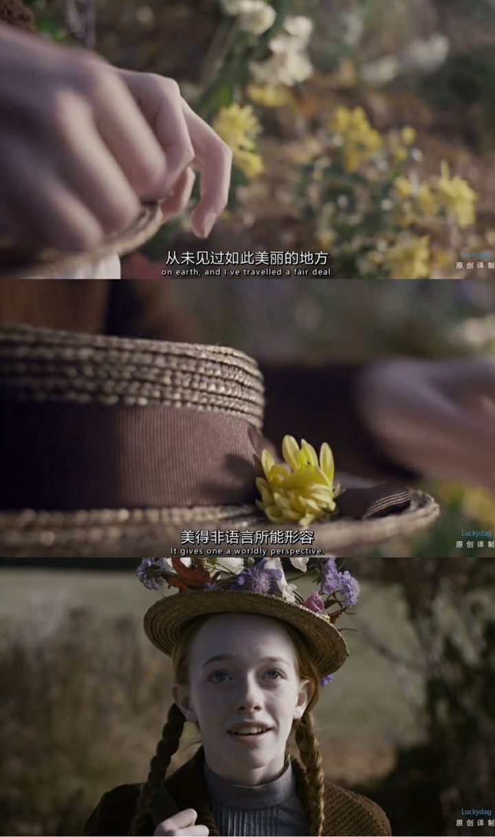 积极向上的心,一切困难都可以过去,就像安妮所说,幻想总好过沉湎往事