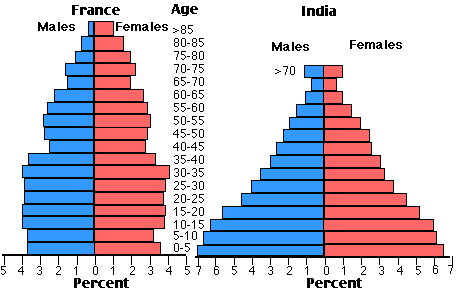 雅思写作小作文范文 雅思写作柱状图bar chart 法国与印度年龄分布