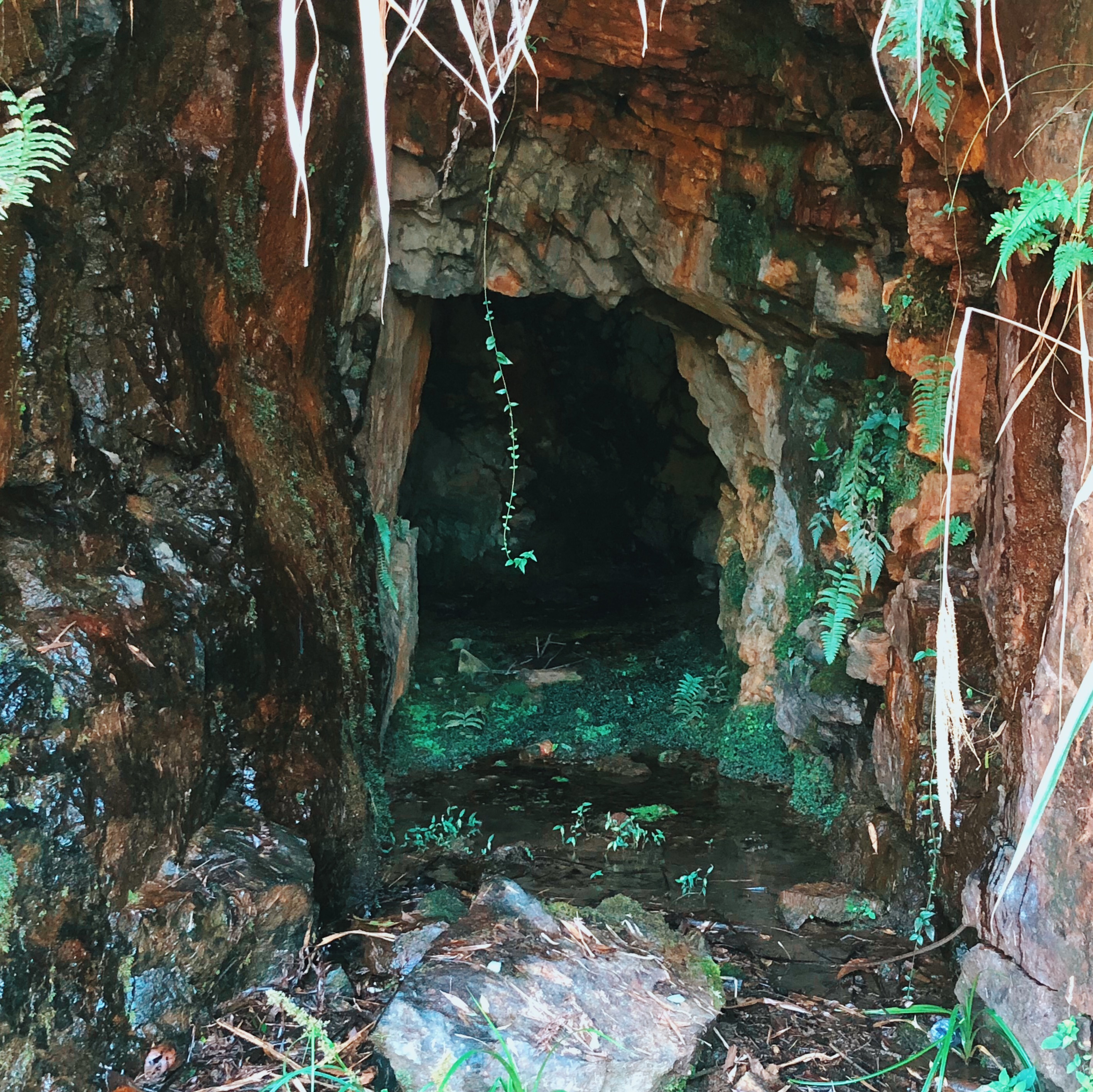 主题:发现了一个山洞,阴冷潮湿黑黝黝,据说以前是个坟,想进去玩一下