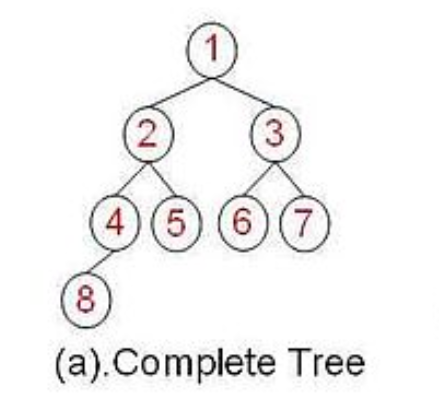 complete-tree.png