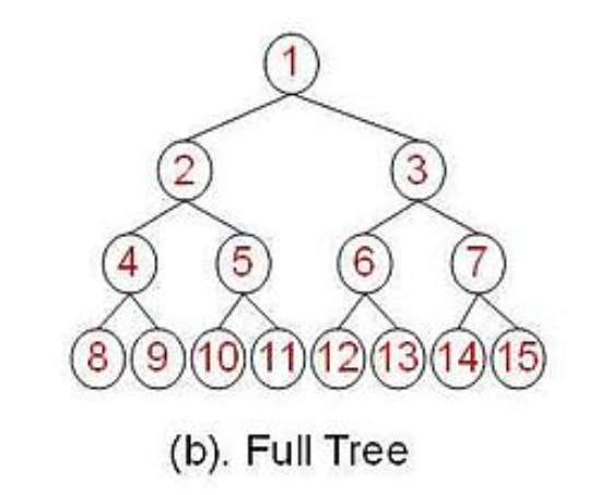 full-tree.png