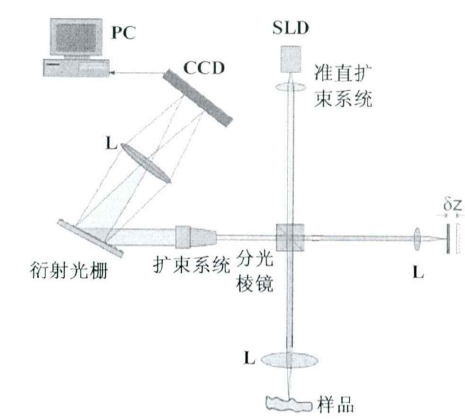 谱域OCT结构图