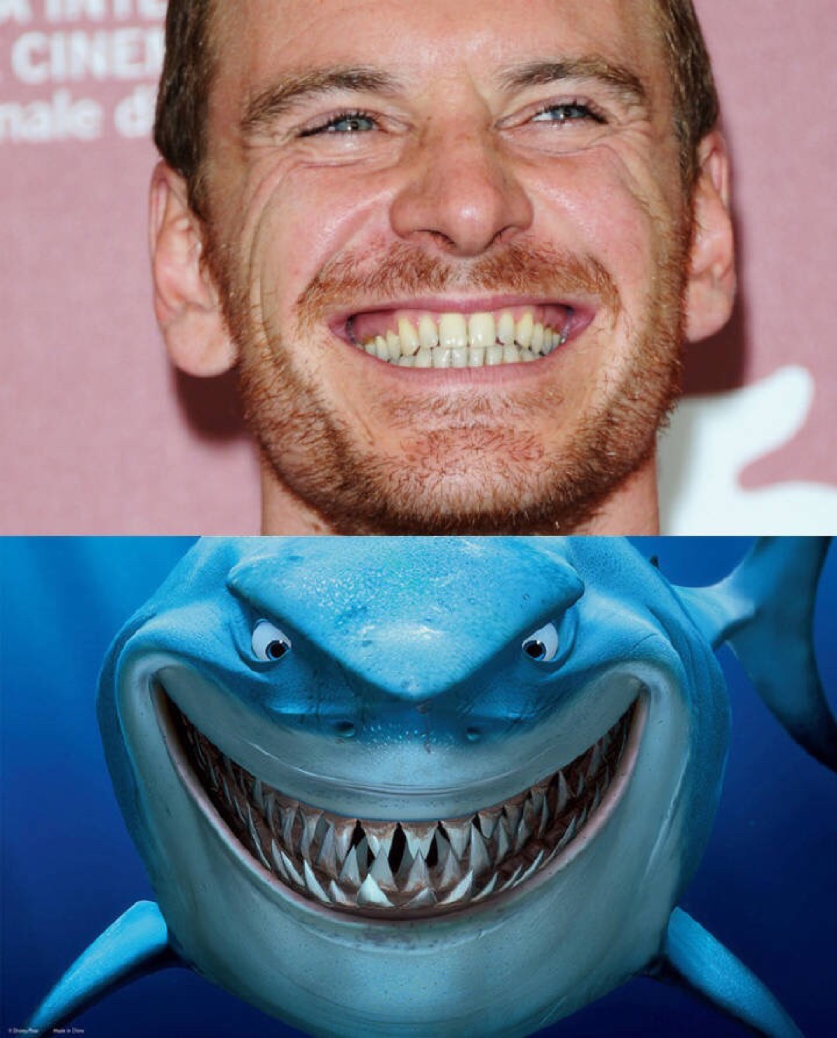 法斯宾德【法鲨】 为啥叫法鲨,因为笑起来很像鲨鱼哈哈哈哈哈哈