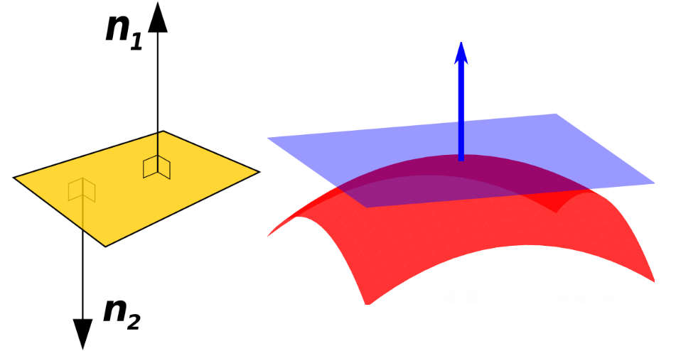 法線。圖片來自wiki