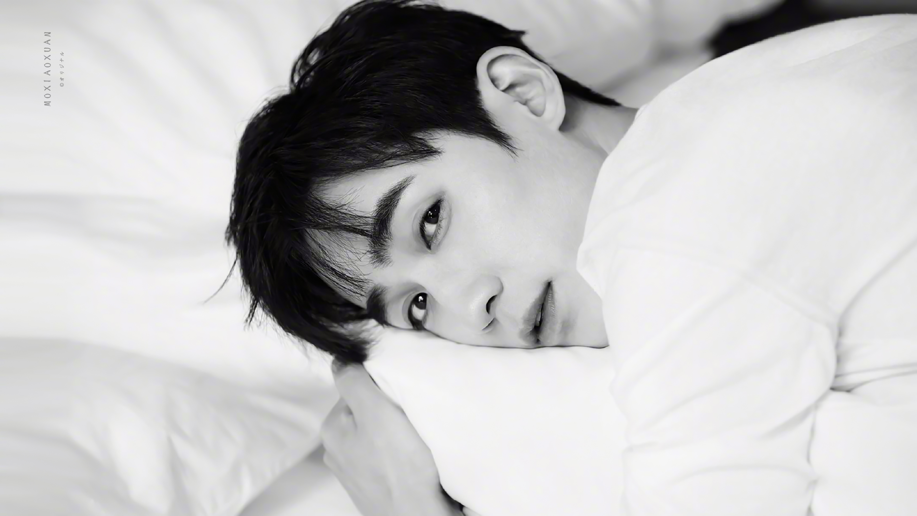 主题:zyl澳洲写真集depart什么水平(大图杀猫)[277]收藏该帖已收藏