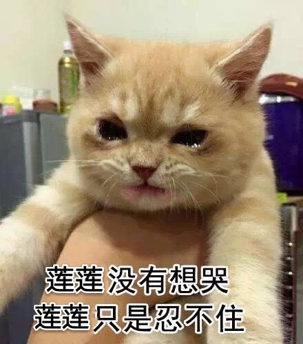 莲莲没有想哭 莲莲只是忍不住