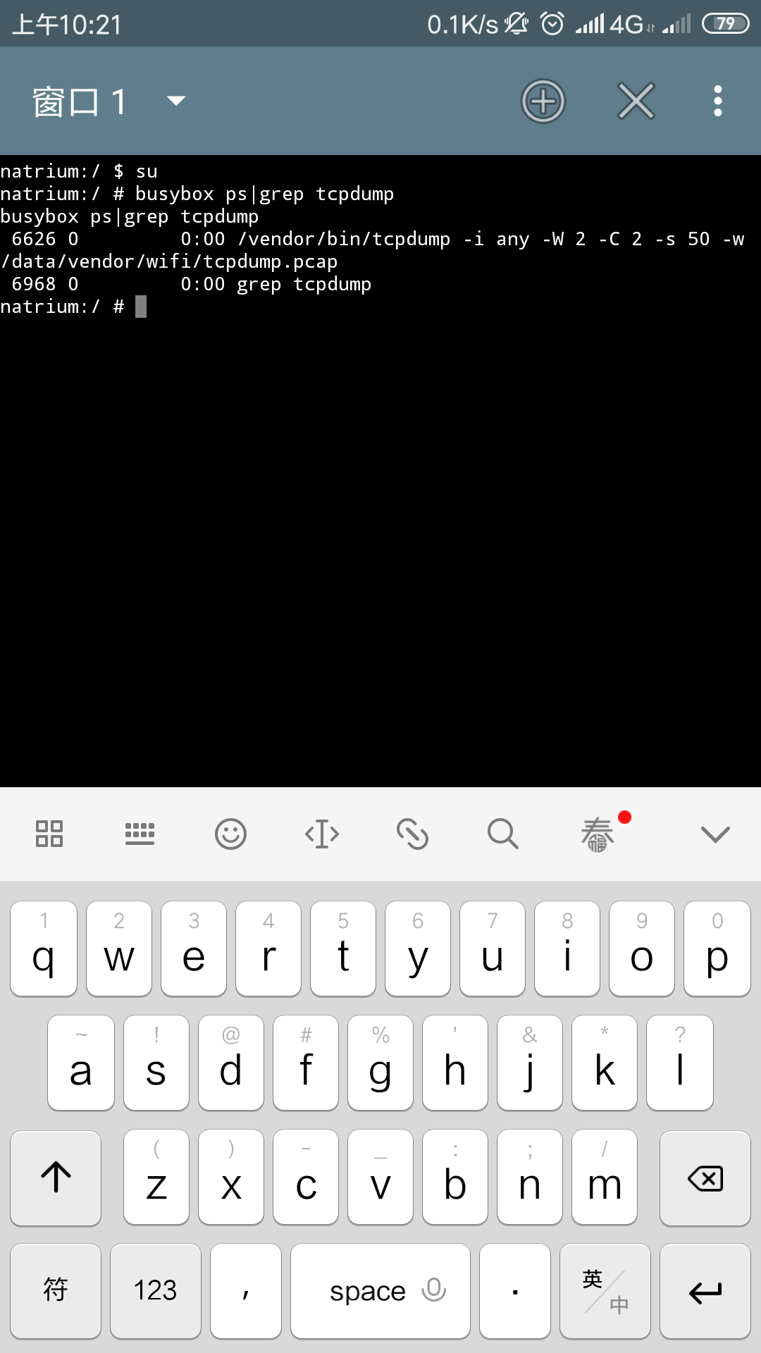 Screenshot_2019-01-11-10-21-30-572_jackpal.androidterm.png