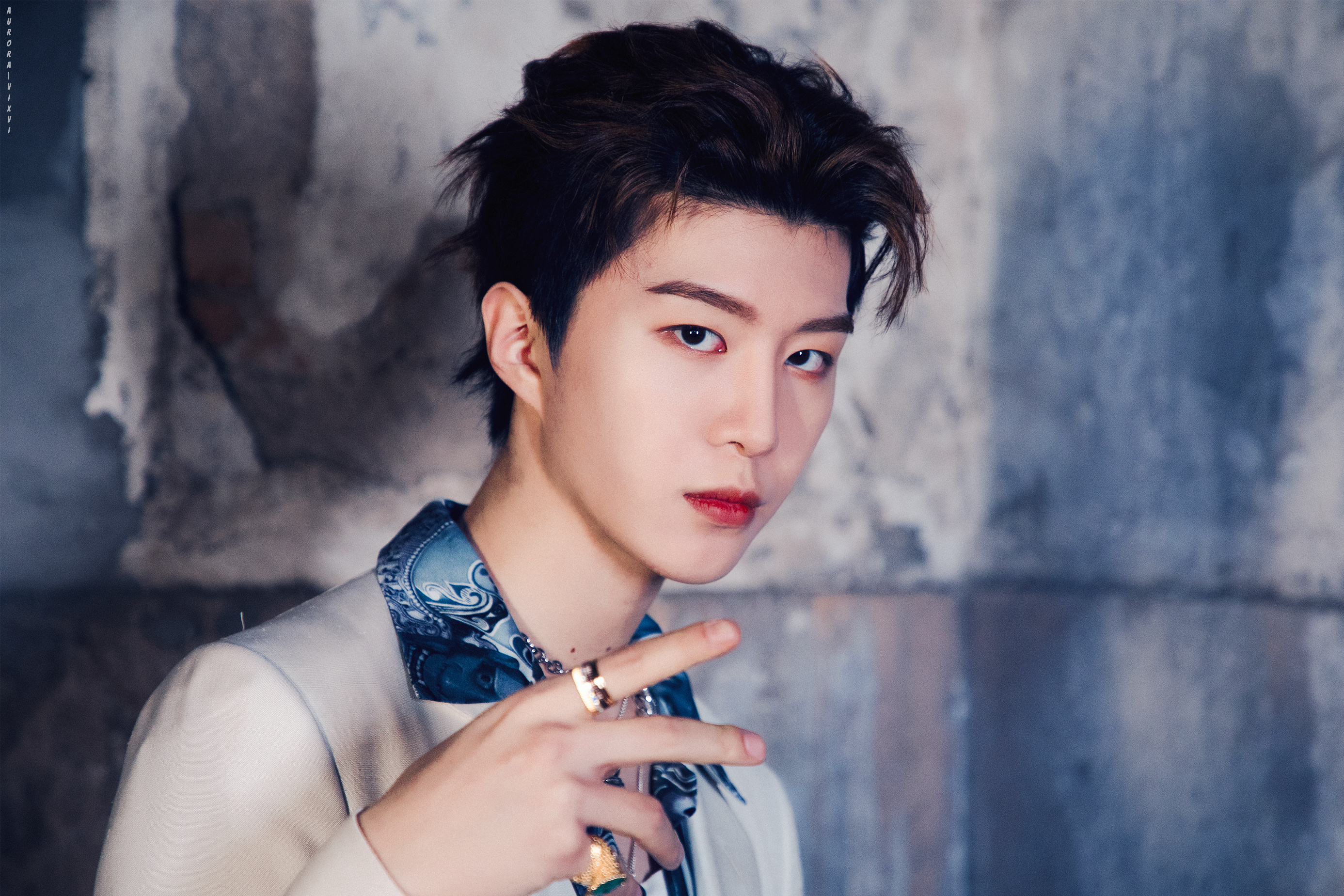 [6]收藏该帖已收藏