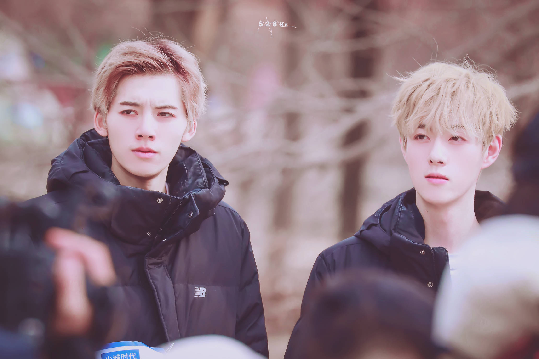 主题:青,点击看邓超元王喆绝美同框[0]收藏该帖已收藏