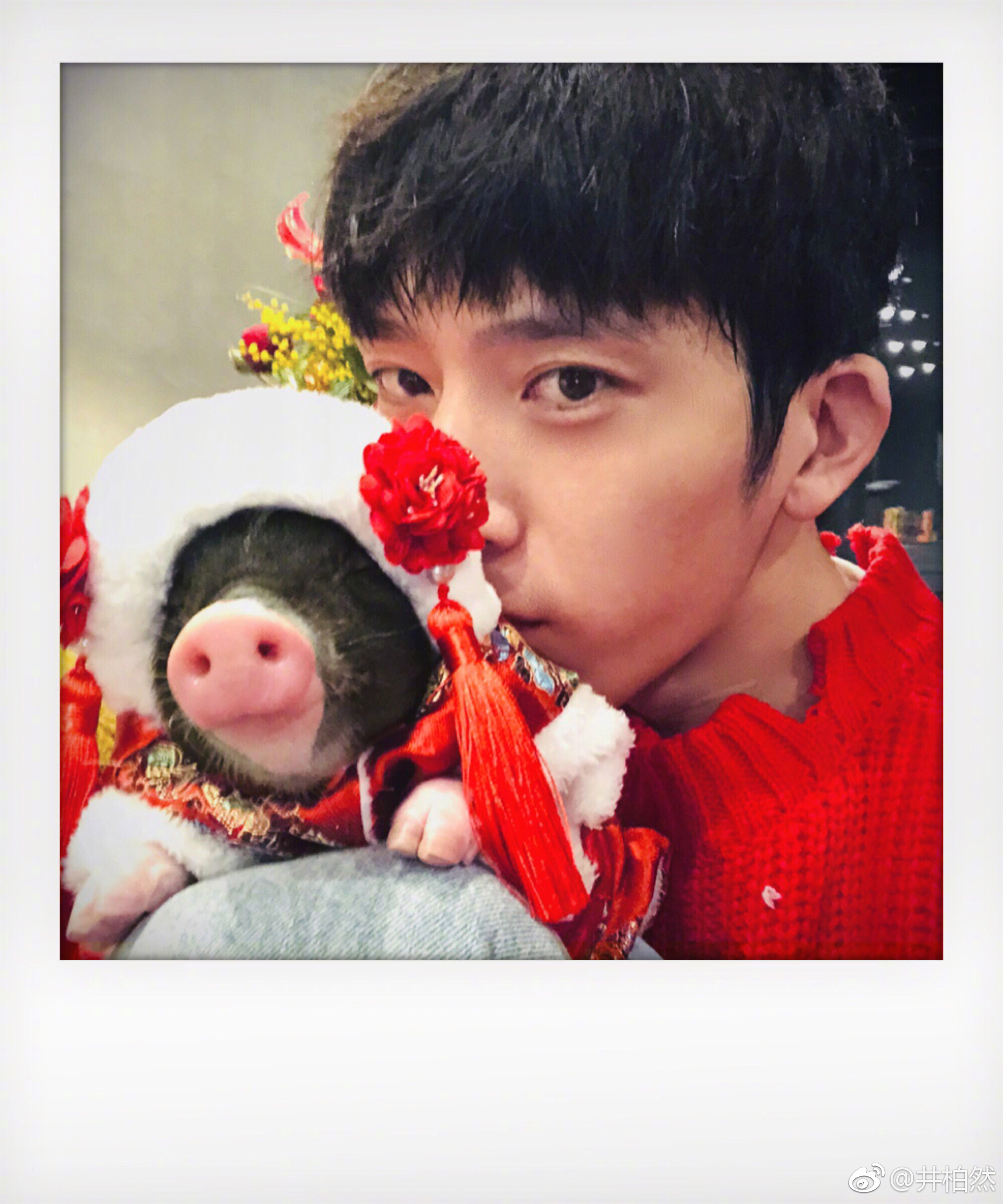 主题:点击就看井柏然的猪的衣品[2]收藏该帖已收藏