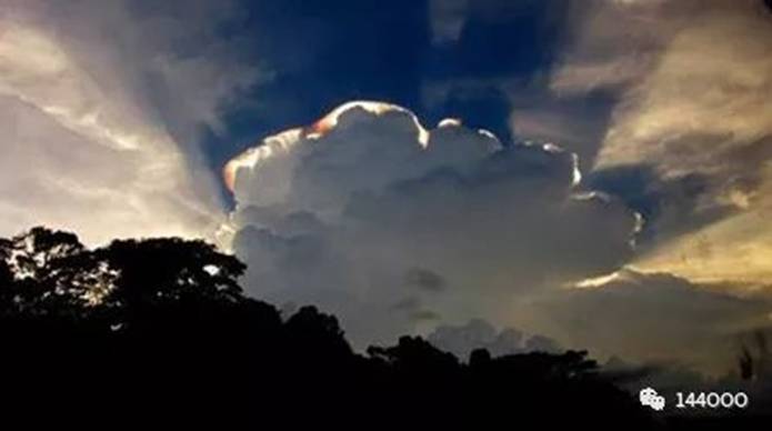 抵抗运动与地面特种人员