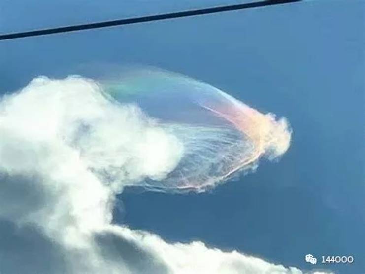 抵抗运动与地面特种人员