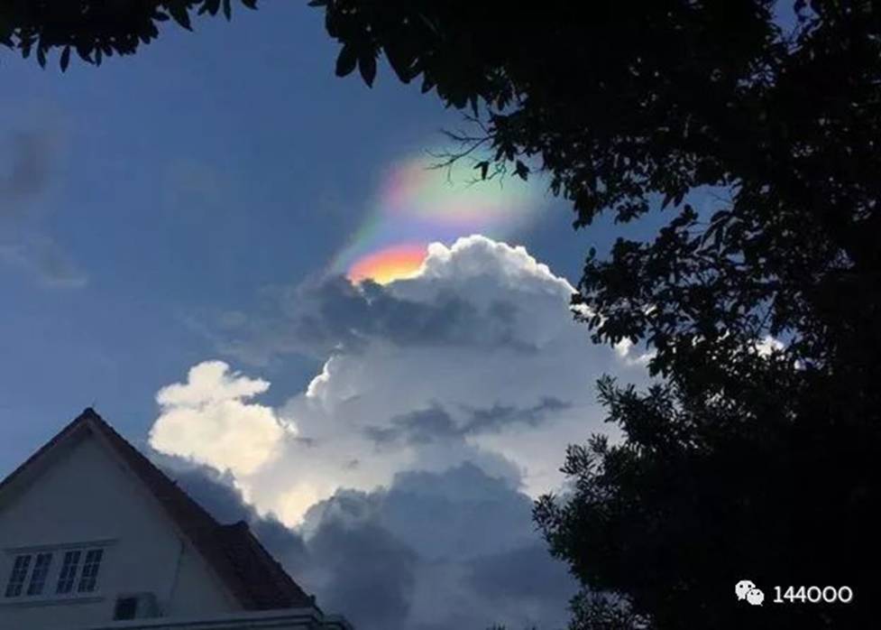 抵抗运动的考核