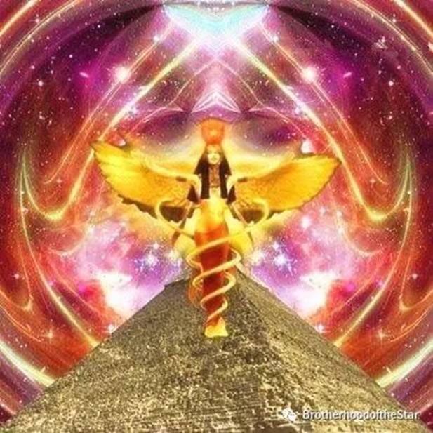 至高无上的神圣意图