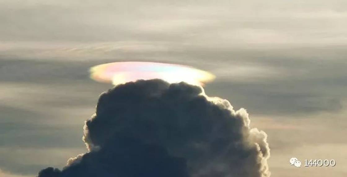 承载圣杯的灵魂