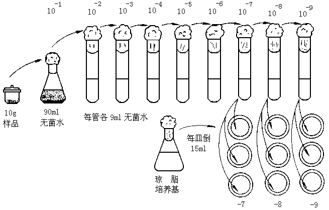 稀释涂布平板法 平板划线法:通过 接种环找琼脂固体培养基表面 连续