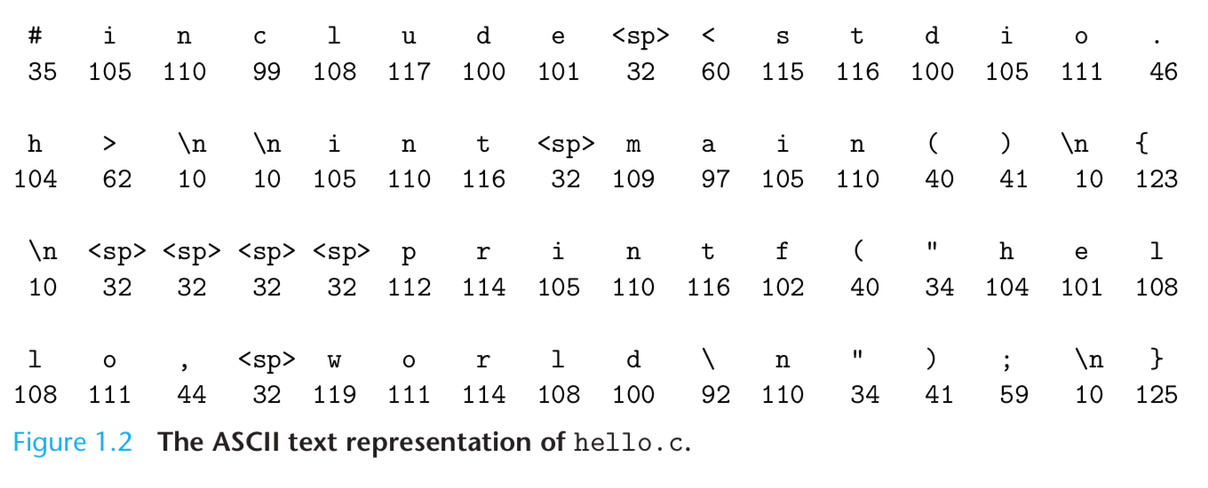 一份C程序的ASCII码表示.png