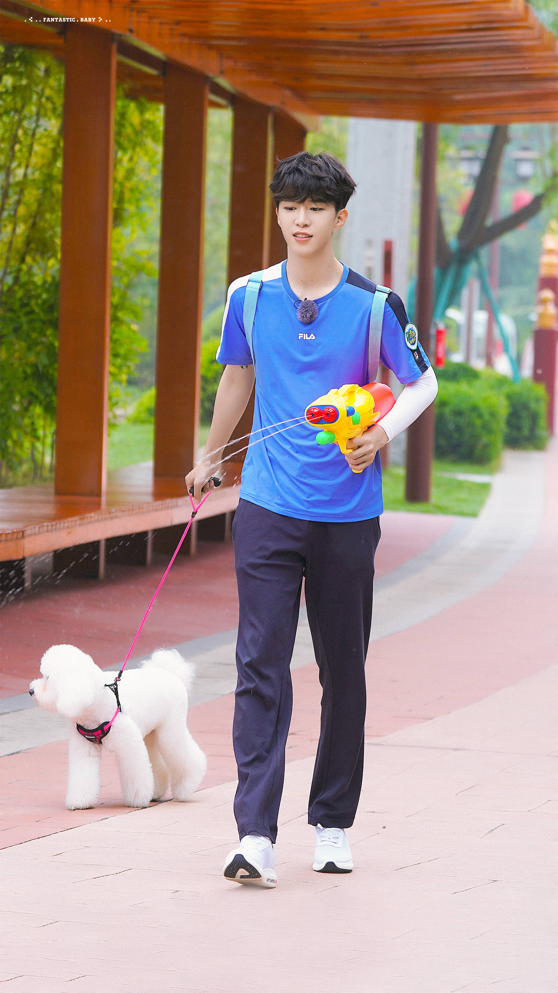 主题:给今天的卷毛小橙开个楼!他太乖了!