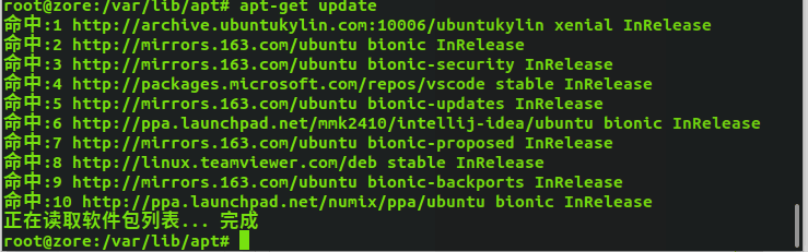 Ubuntu18.04安装IDEA引发的惨案