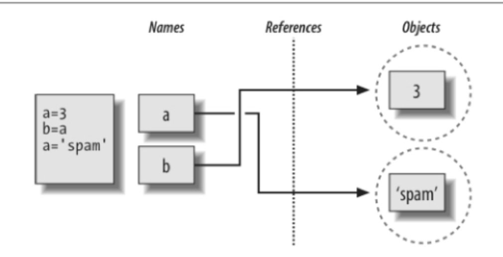 python-dynamic-typing-trash-bin