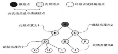 節點的度