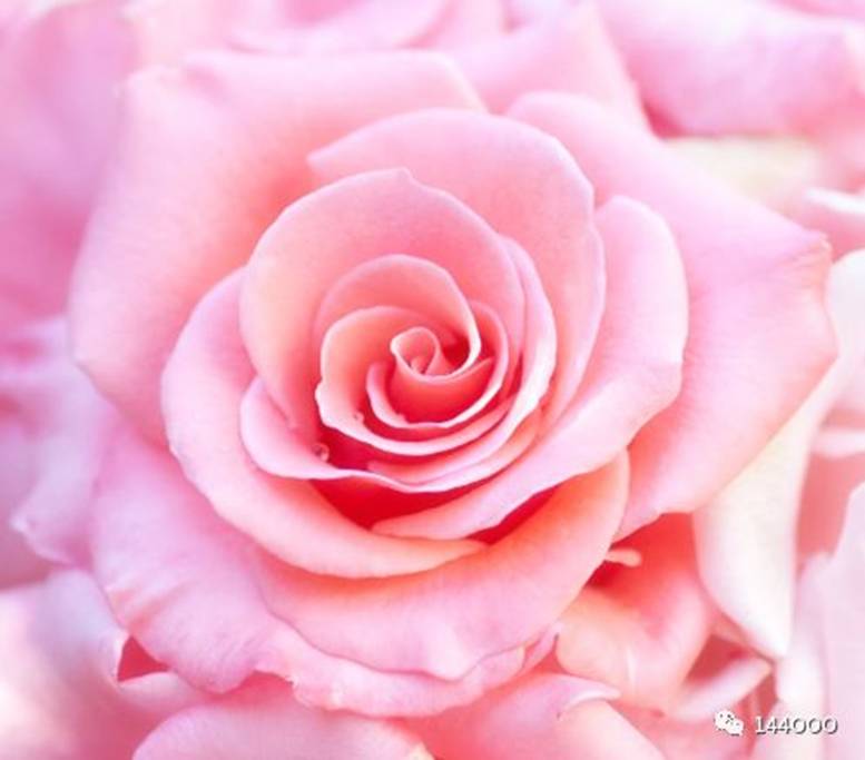 抵抗运动在你周围