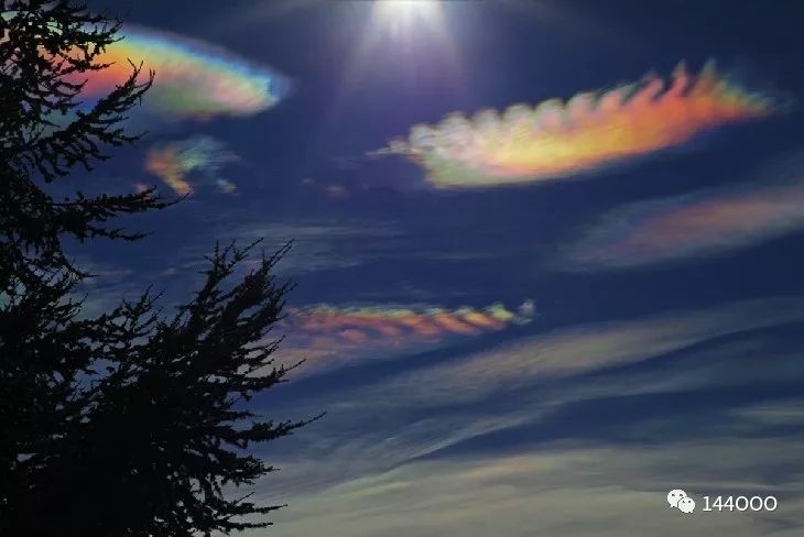 圣杯试炼与圣杯国王