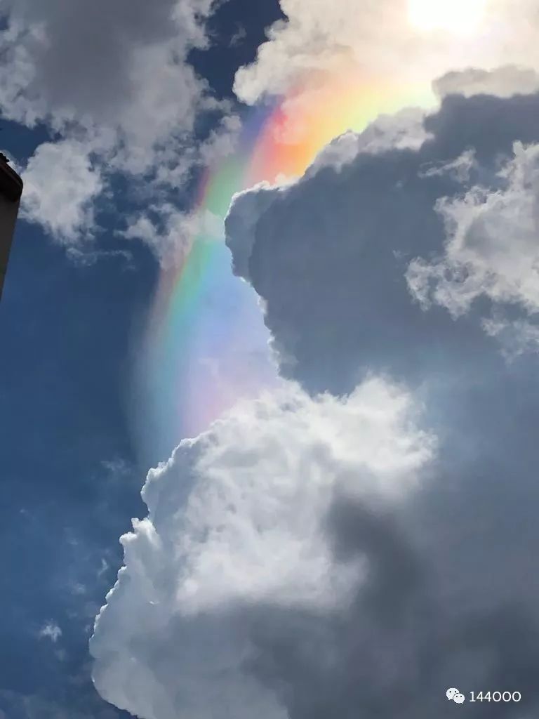 圣杯试炼与圣杯国王