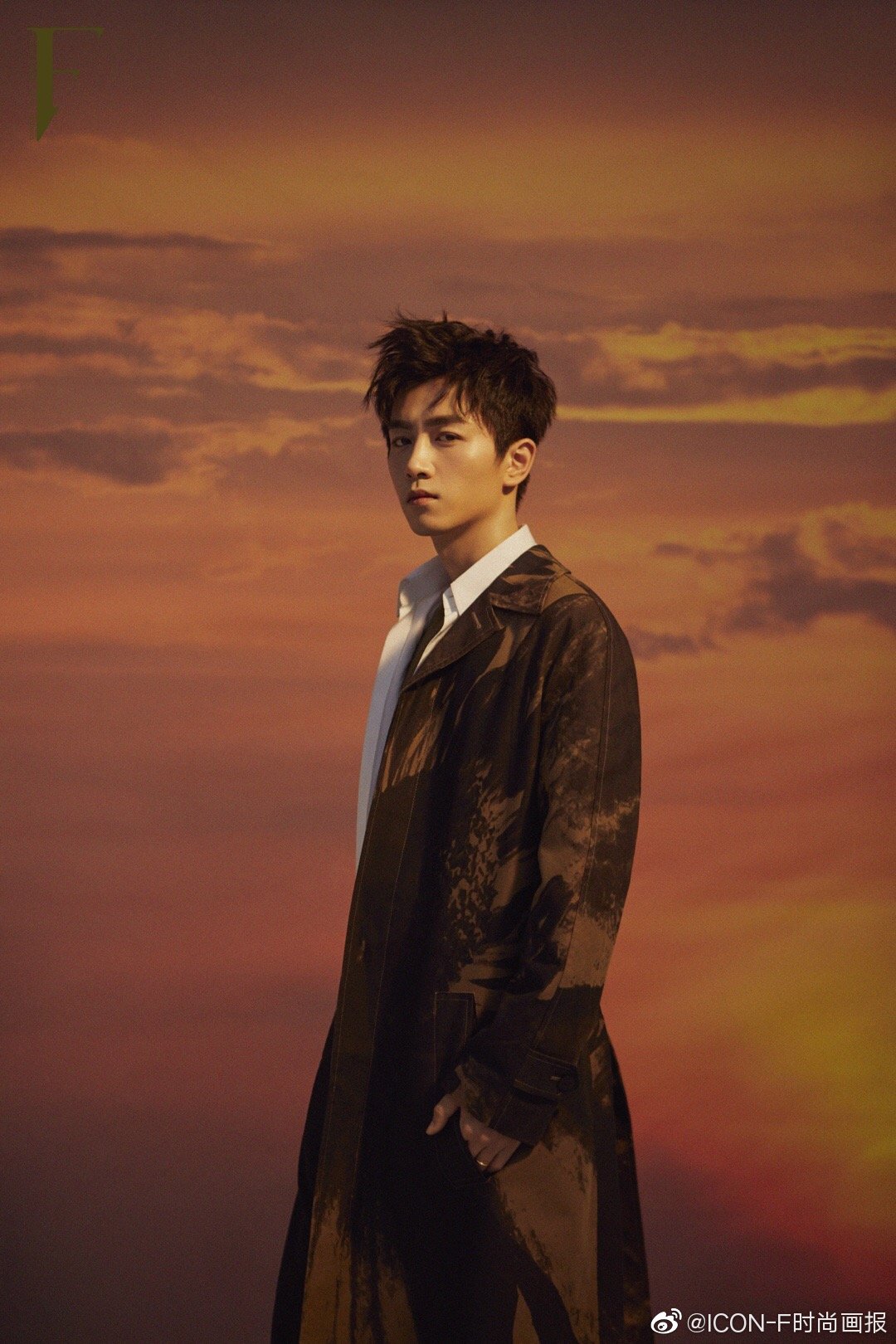 [31]收藏该帖已收藏