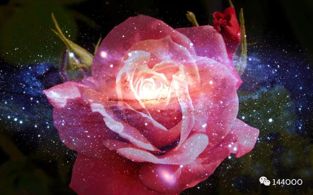 一只追随永恒之王的红龙