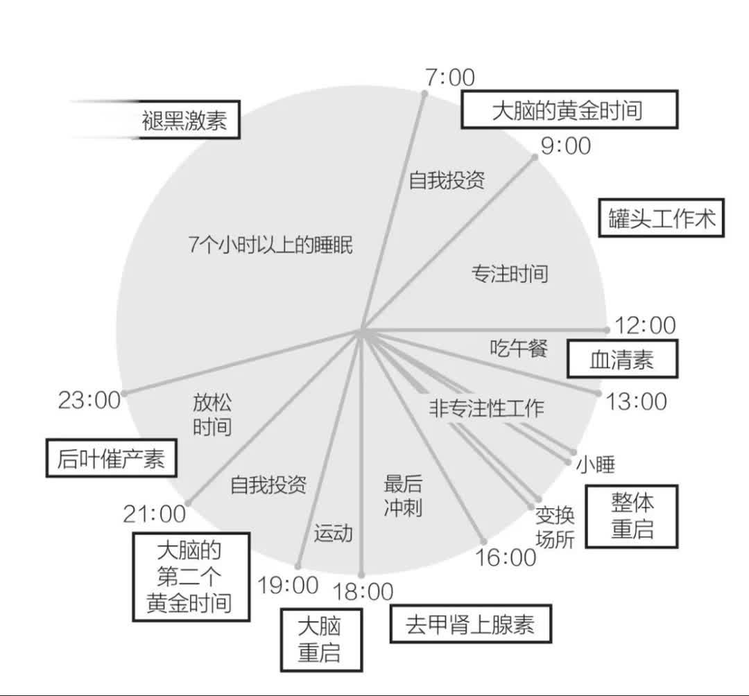 根据脑科学原理设计的最完美的一天