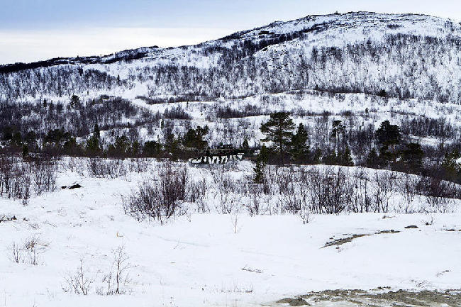 挪威陆军豹2A4坦克在雪地里演习