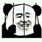 panda in jail