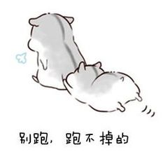 别跑,跑不掉的.jpg